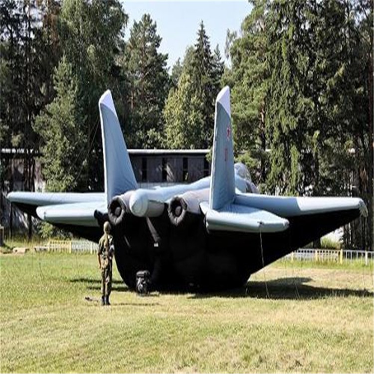 毛道乡充气飞机模型